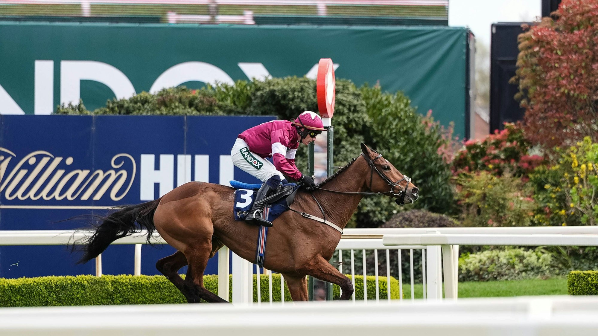 Jockey Paul Townend reitet Pferd Gold Dancer