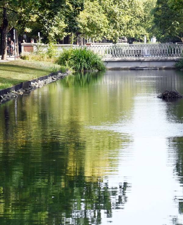 Sieht so idyllisch aus, doch die Nil- und Kanadagänse am Rautenstrauchkanal können ziemlich laut sein.