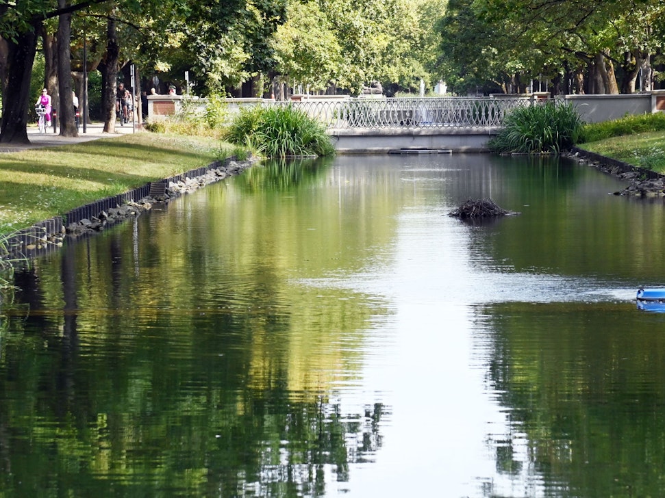 Sieht so idyllisch aus, doch die Nil- und Kanadagänse am Rautenstrauchkanal können ziemlich laut sein.
