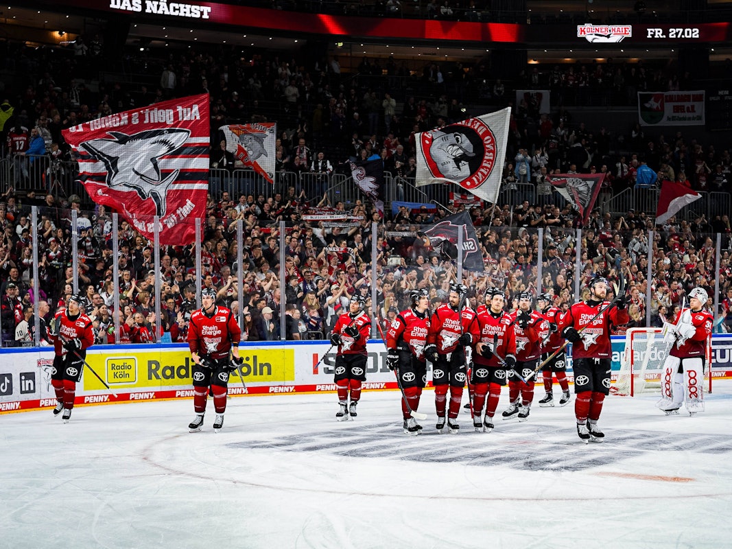 Die Kölner Haie stehen vor ihren Fans.