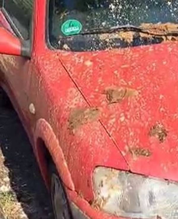 In Köln-Kalk wurden Exkremente auf ein Auto gekippt.