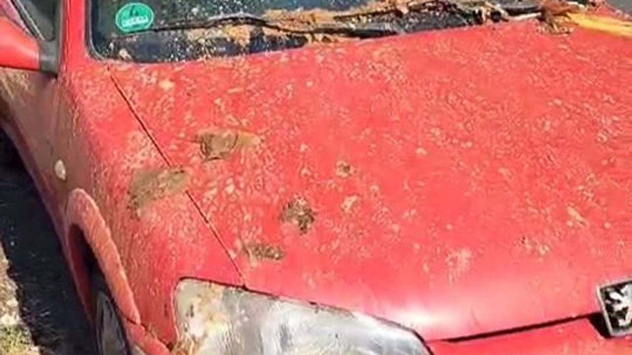 In Köln-Kalk wurden Exkremente auf ein Auto gekippt.