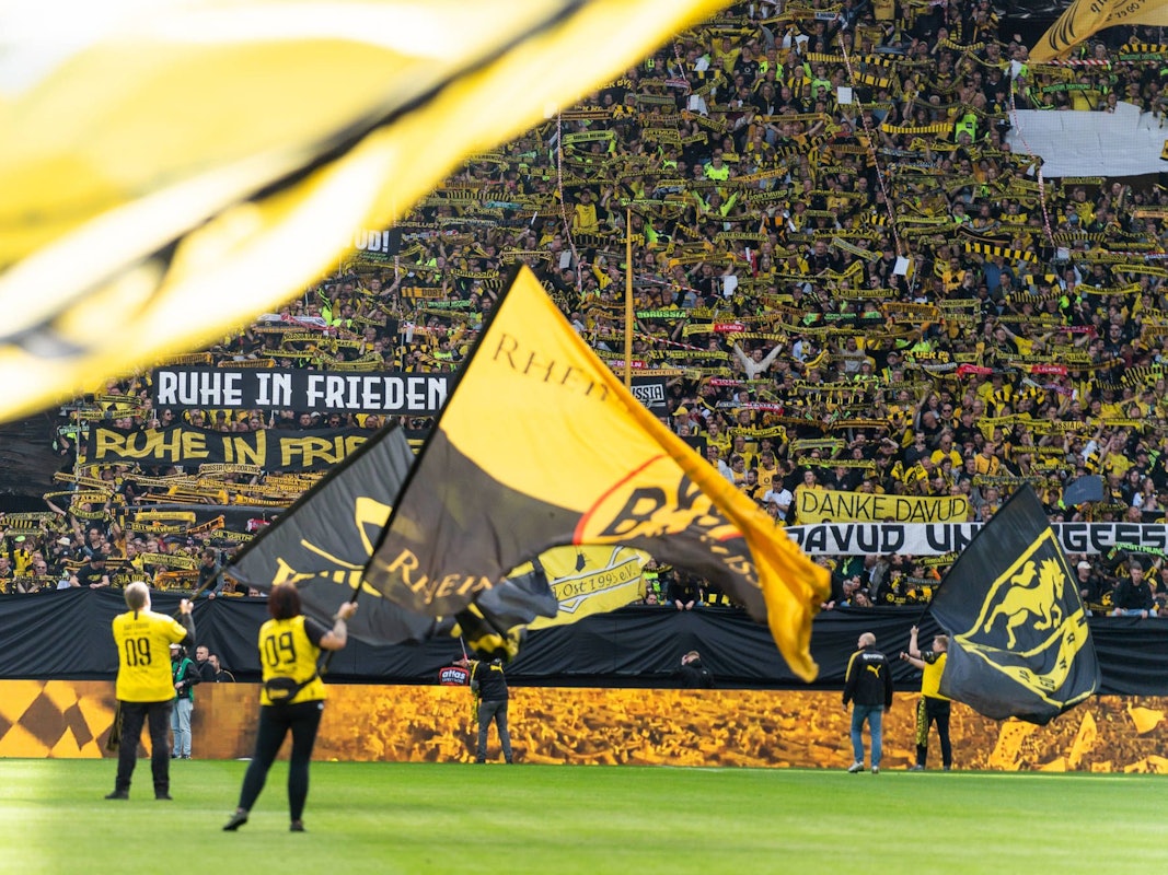 Vor einem Spiel von Borussia Dortmund werden riesige Fahnen auf dem Platz geschwenkt.