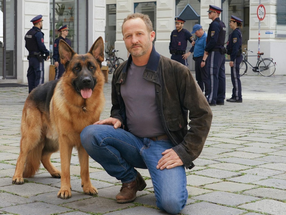 SAT.1 kann zufrieden mit dem Start von „Kommissar Rex“ (Bild) sein. Die Neuauflage der gleichnamigen Kultserie erzielte am Montag gute Quoten. (Bild: SAT.1/ORF / Petro Domenigg)