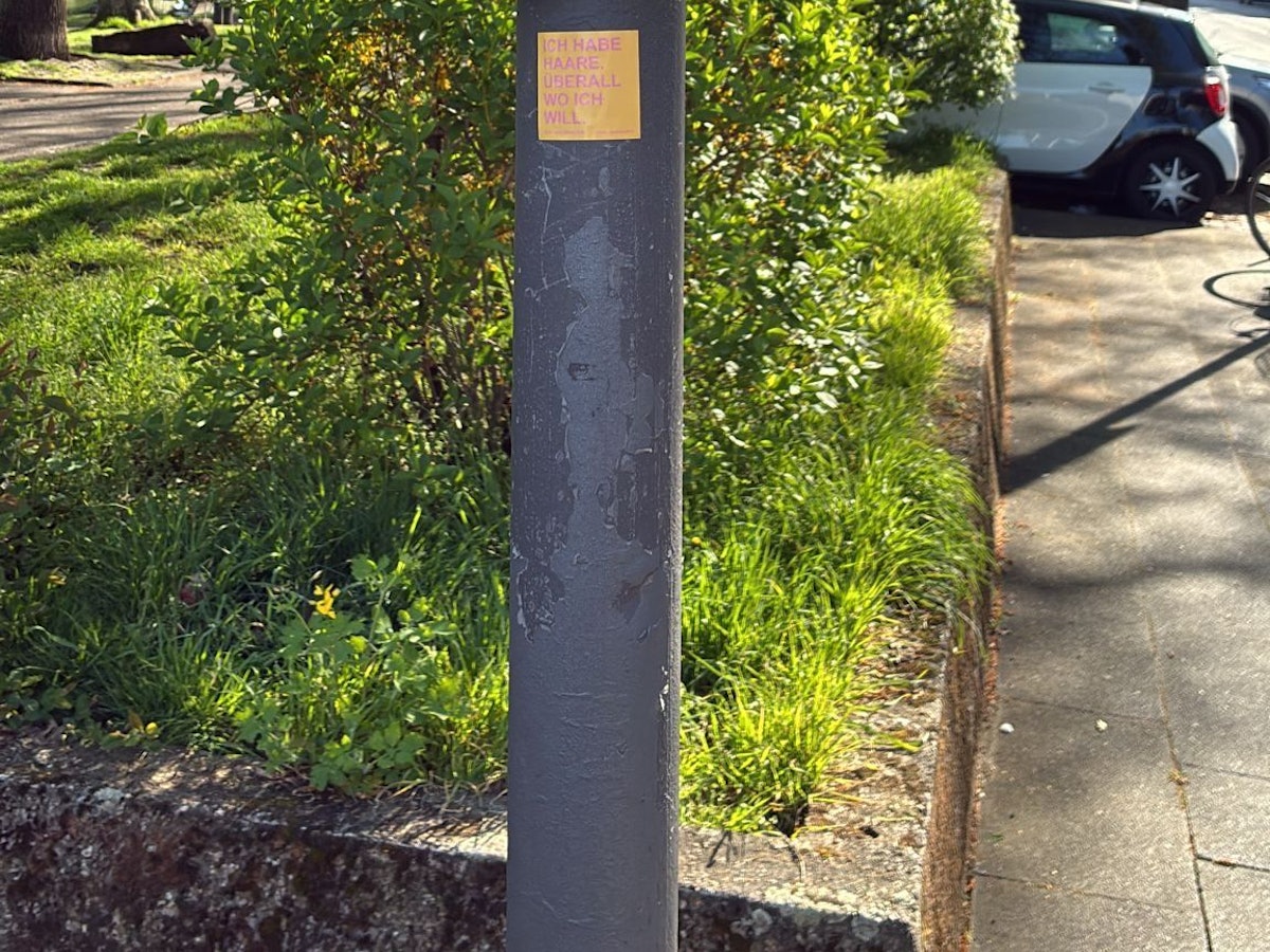 Die Stadt warnt vor Blaualgen am Theodor-Heuss-Weiher am Ebertplatz.