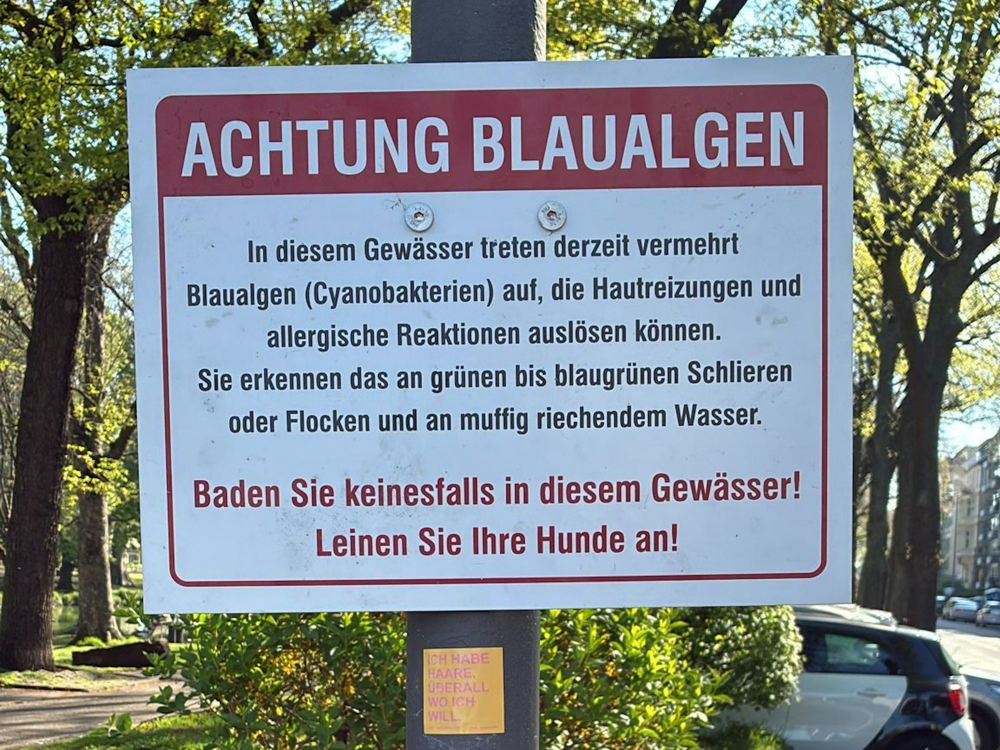 Die Stadt warnt vor Blaualgen am Theodor-Heuss-Weiher am Ebertplatz.