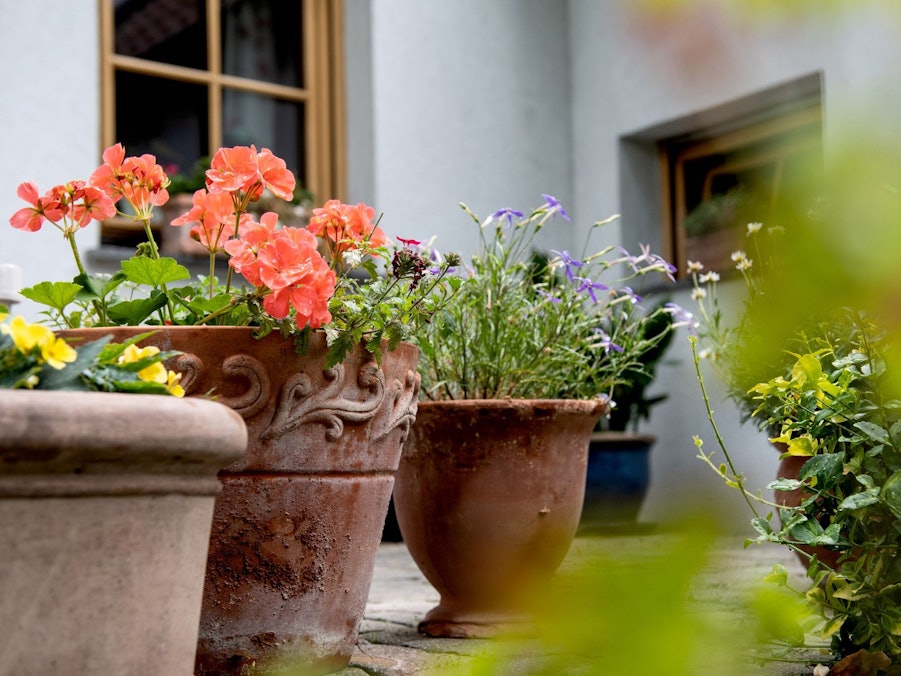 Steingut- und Tontöpfe