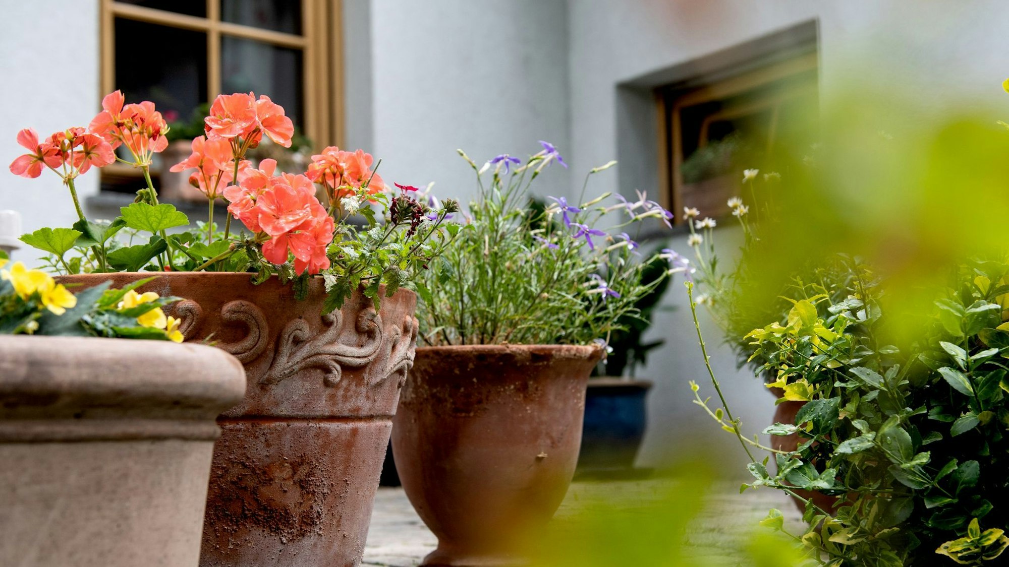 Steingut- und Tontöpfe