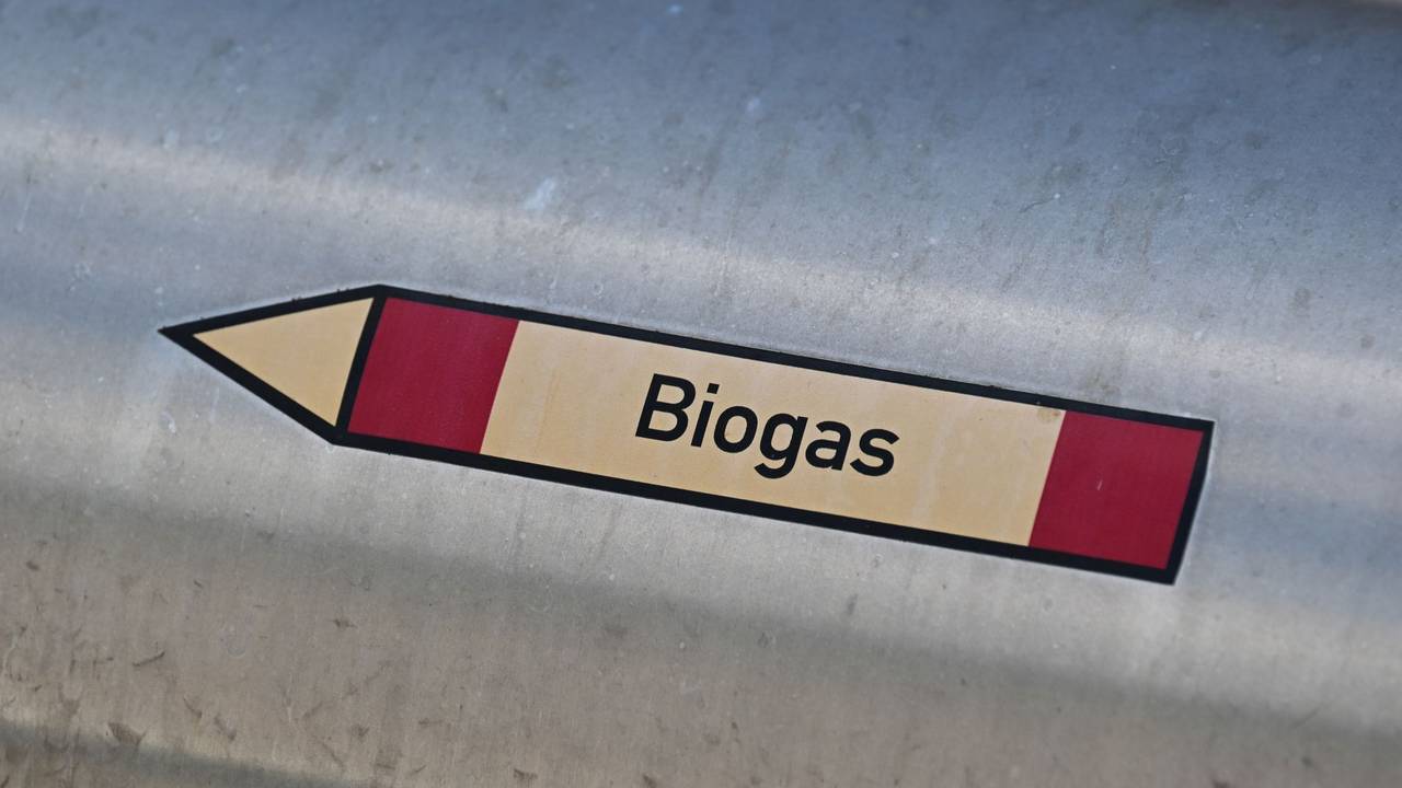 Biogas
