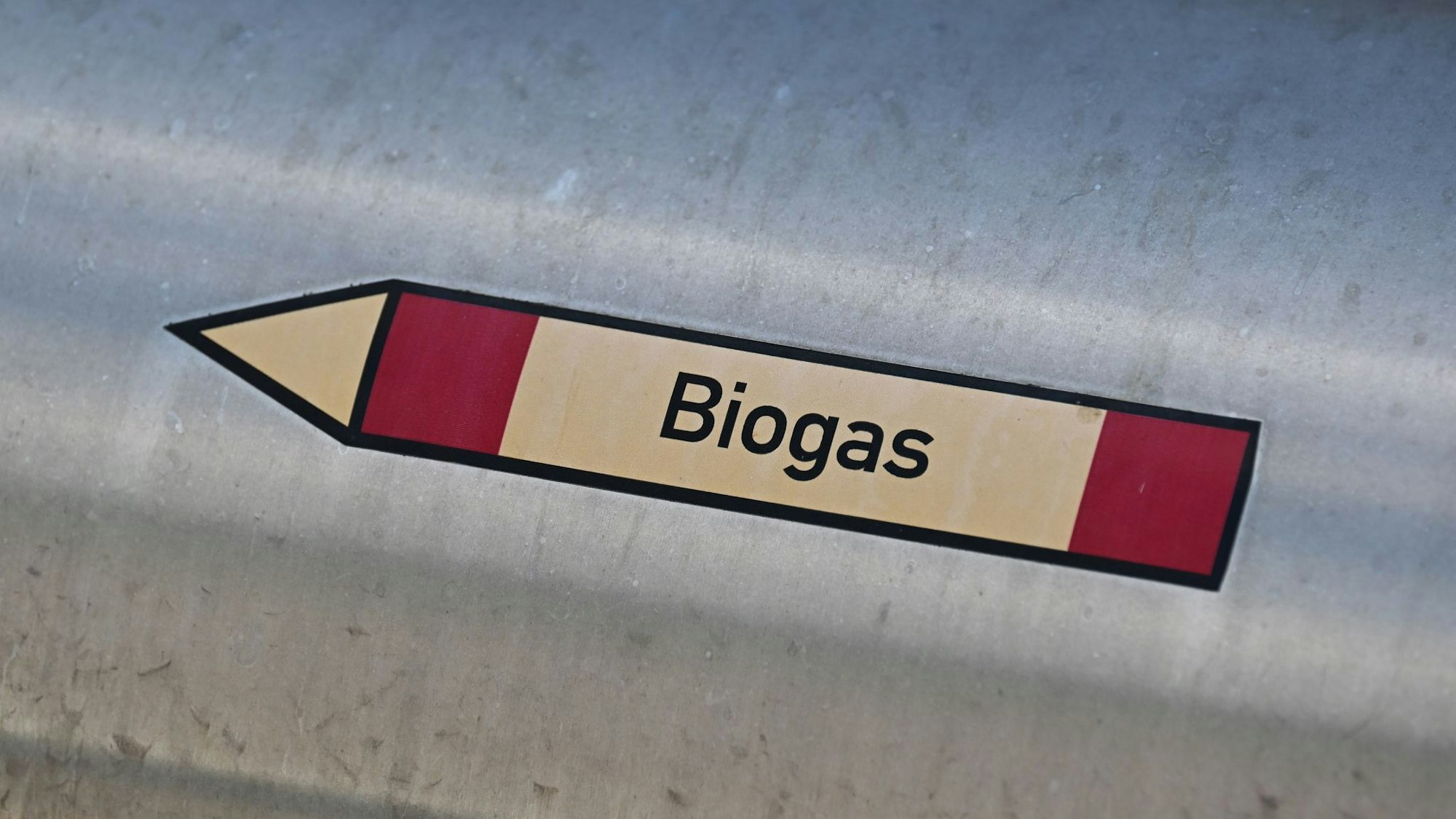 Biogas