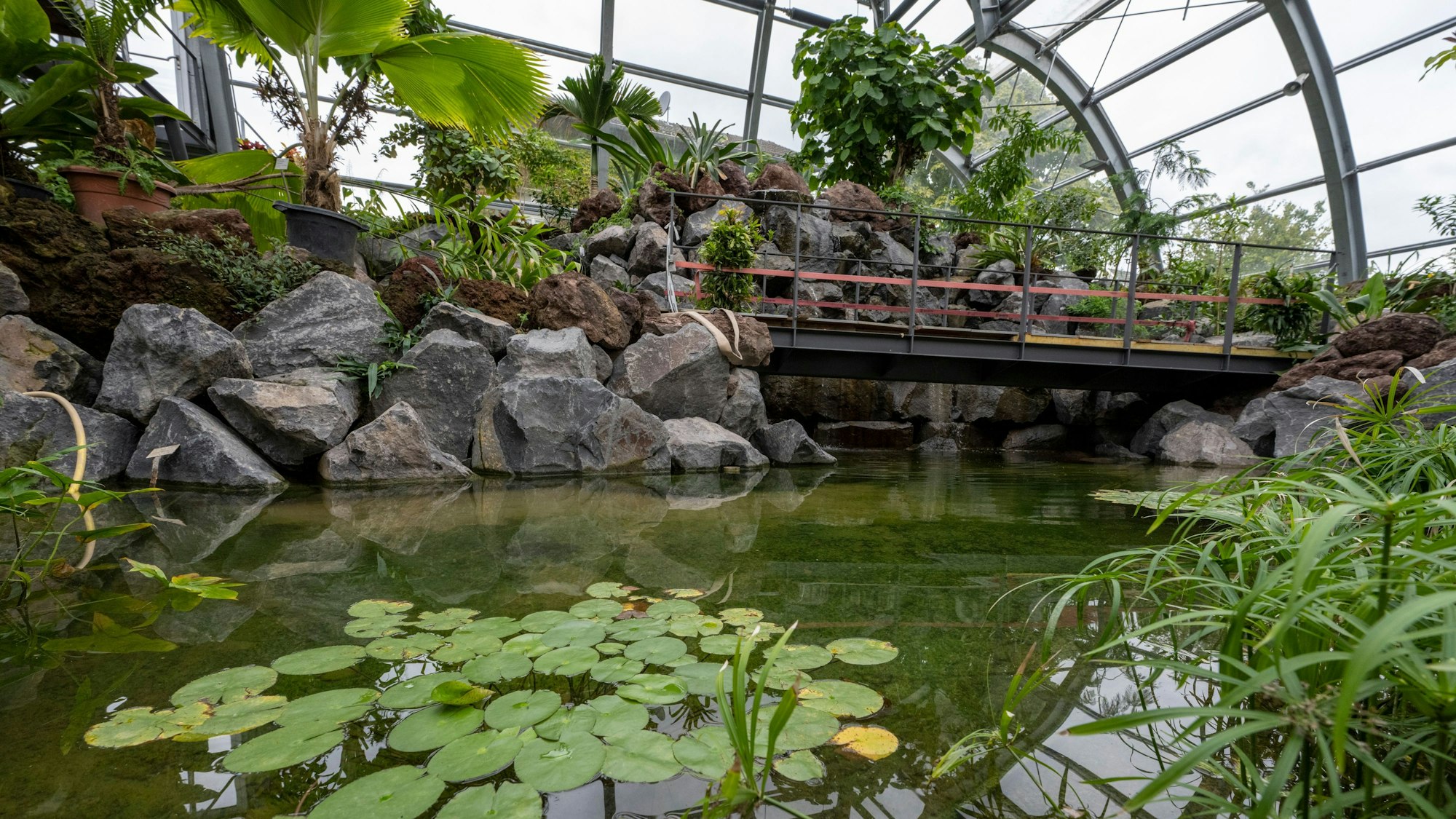 Blick in das Tropenhaus