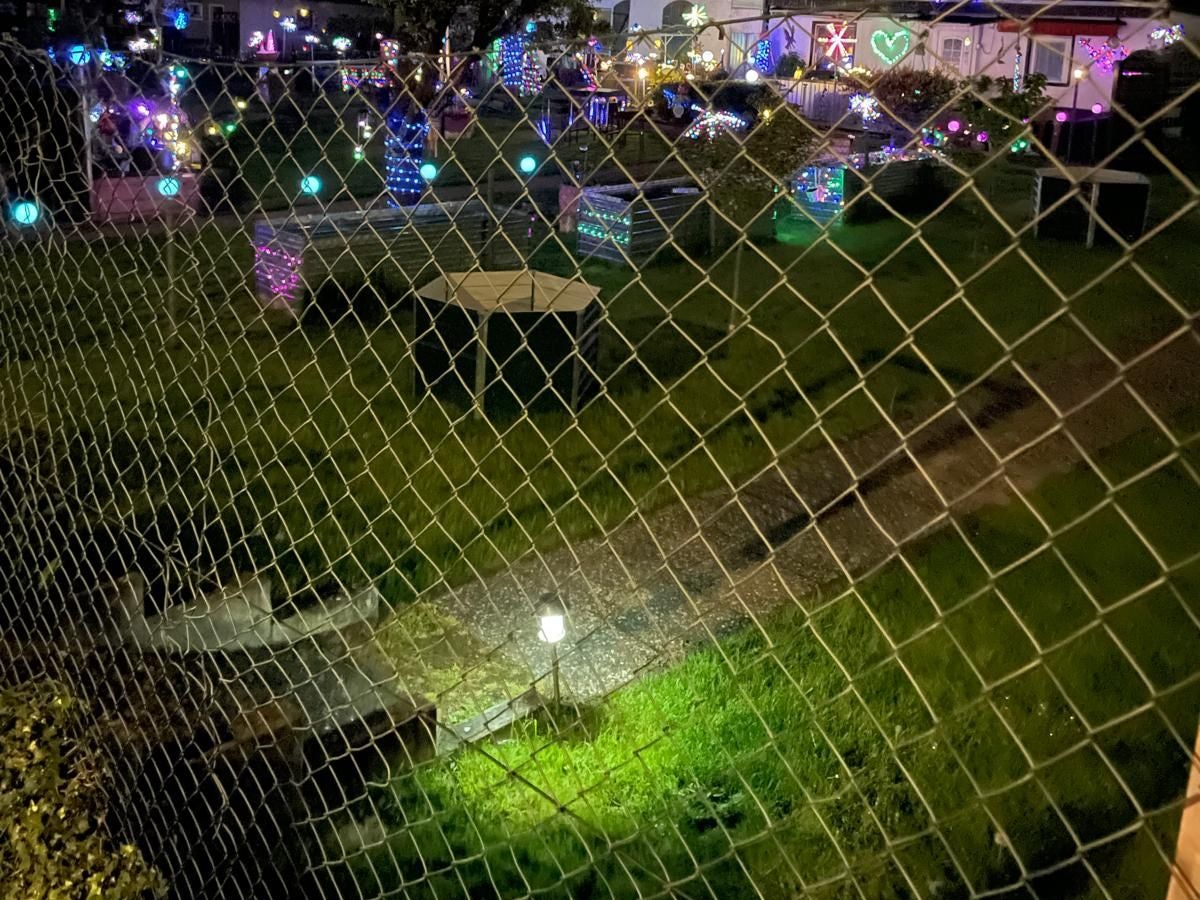 Bunte Beleuchtung im Kleingartenverein Kalk-Süd Am grauen Stein