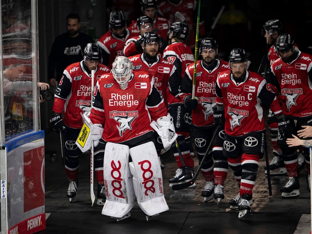 Die Spieler der Kölner Haie auf dem Weg in die Lanxess-Arena.