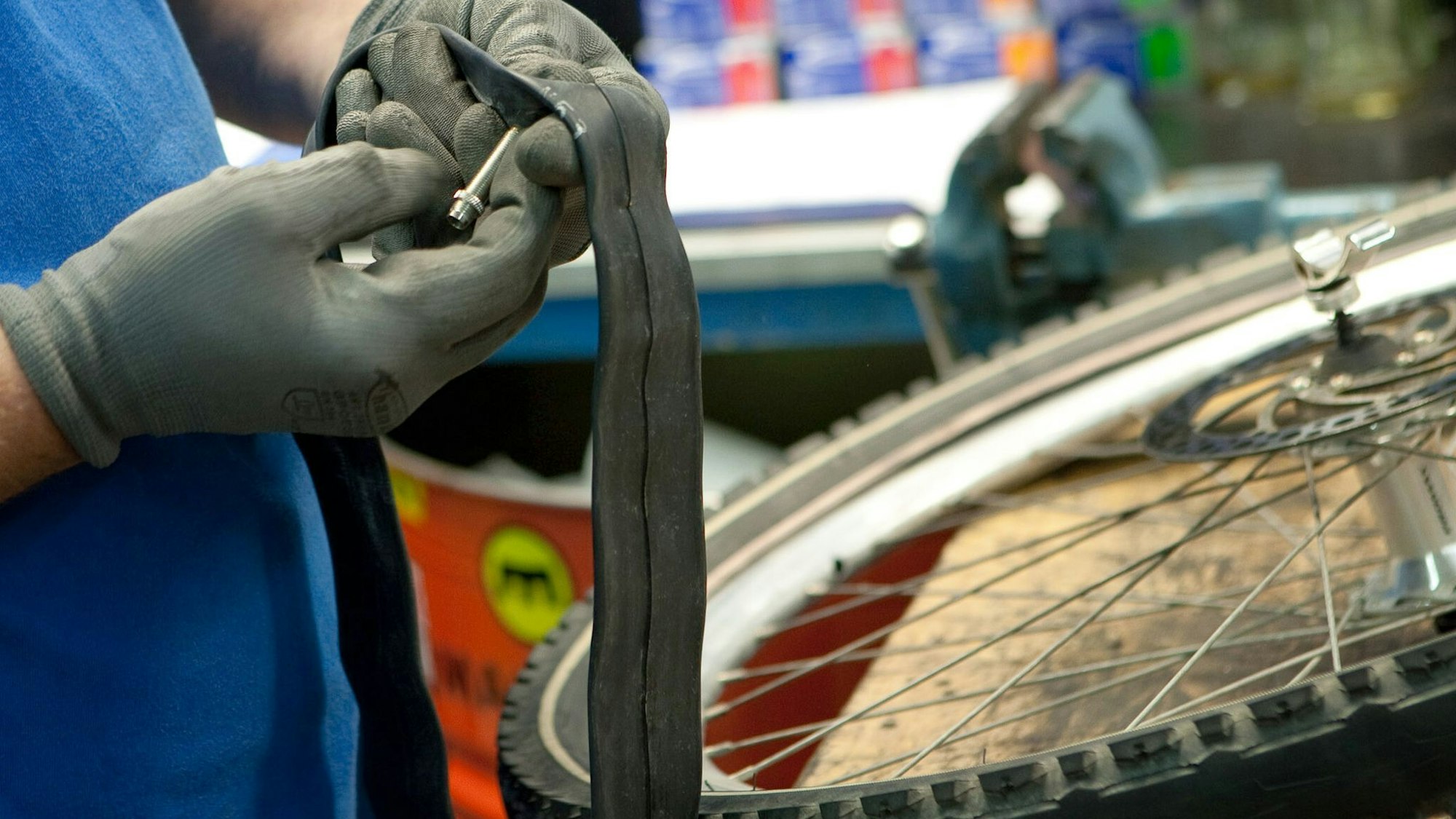 Mitarbeiter einer Fahrradwerkstatt prüft einen Fahrradschlauch