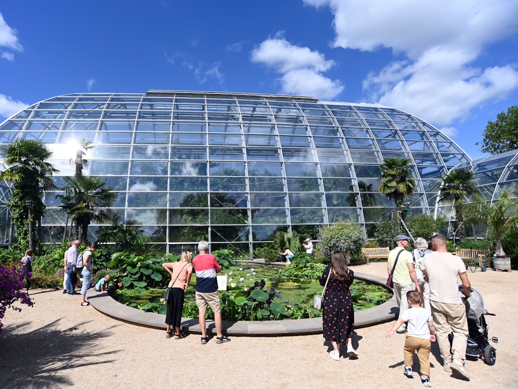 Die neuen Schaugewächshäuser im Botanischen Garten können bald auch von Besuchern und Besucherinnen in Augenschein genommen werden.