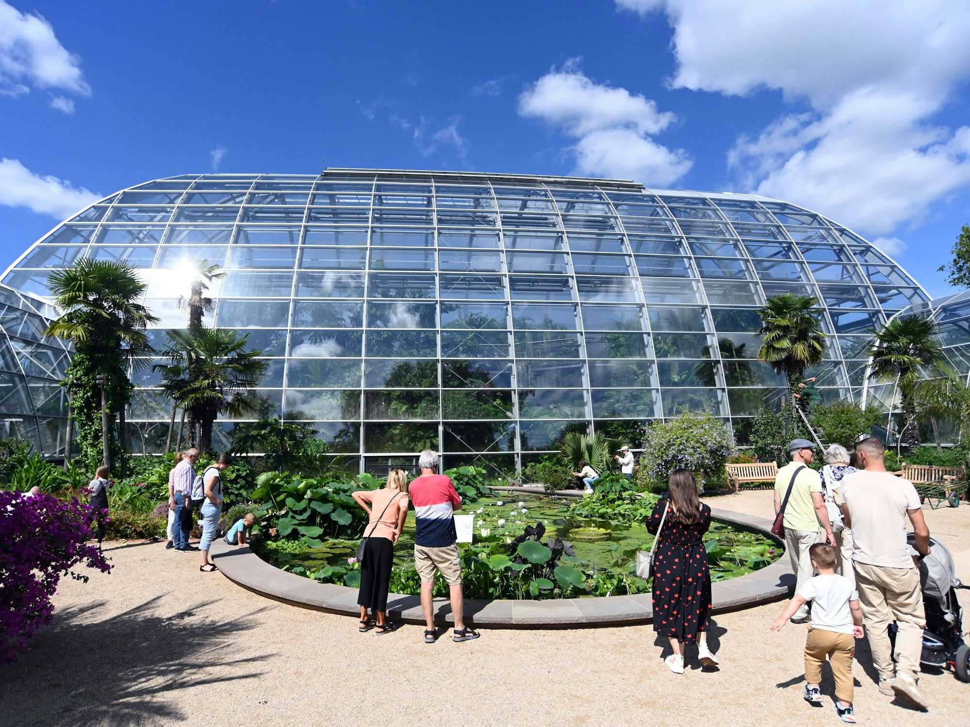 Die neuen Schaugewächshäuser im Botanischen Garten können bald auch von Besuchern und Besucherinnen in Augenschein genommen werden.