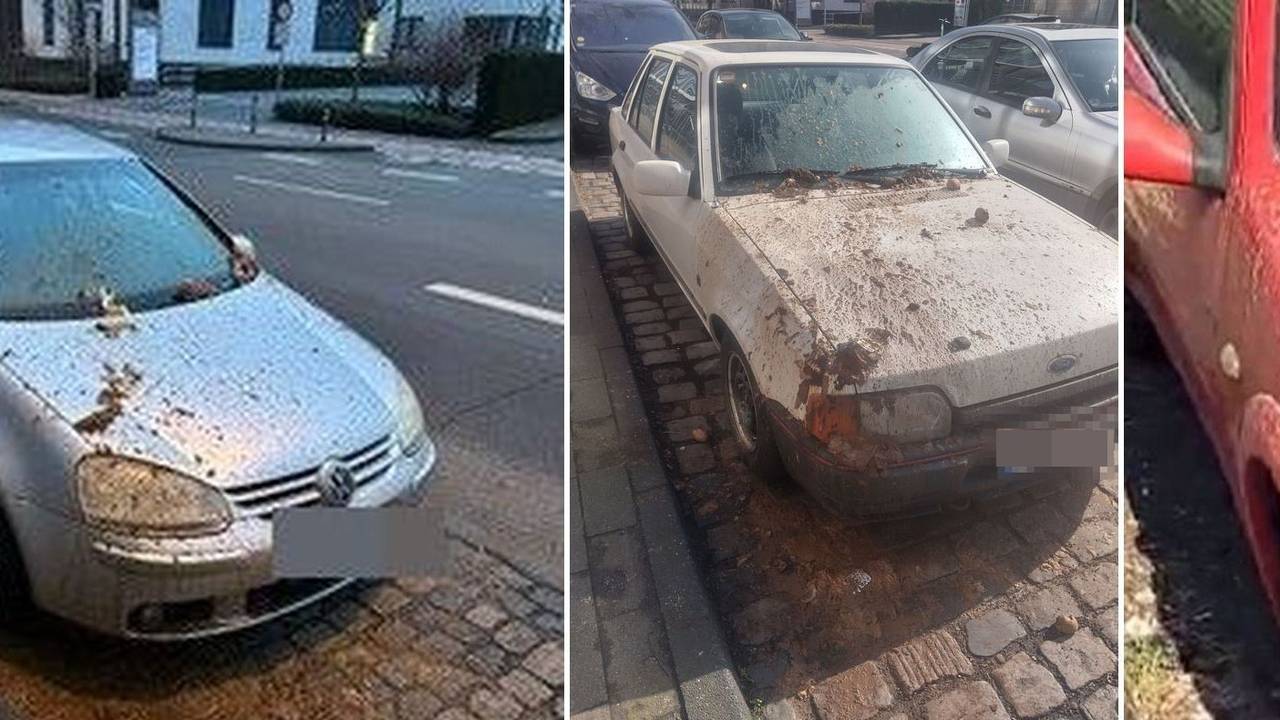 Inzwischen gibt es drei mit Fäkalien beschmierte Autos in Köln-Kalk.