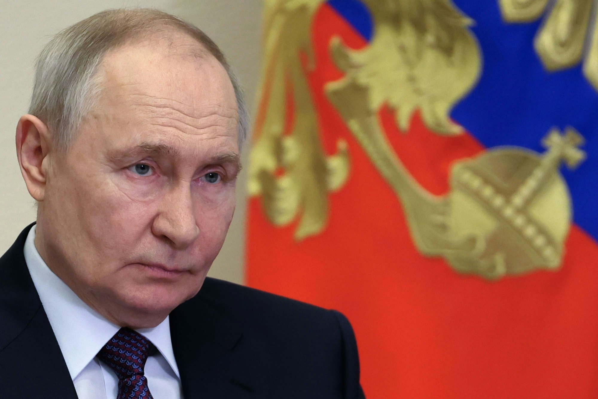 Legehennen laufen im Freigehege eines Bio-Bauernhofes vor ihrem Stall.