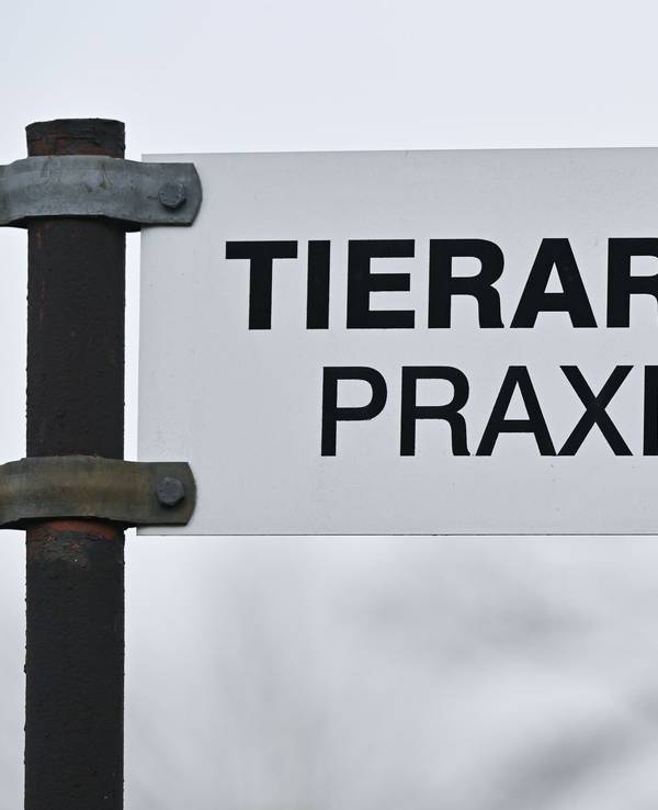 Tierarzt - Praxis