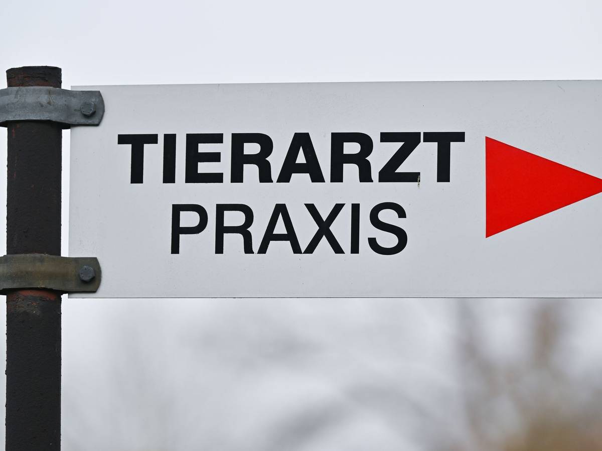 Tierarzt - Praxis