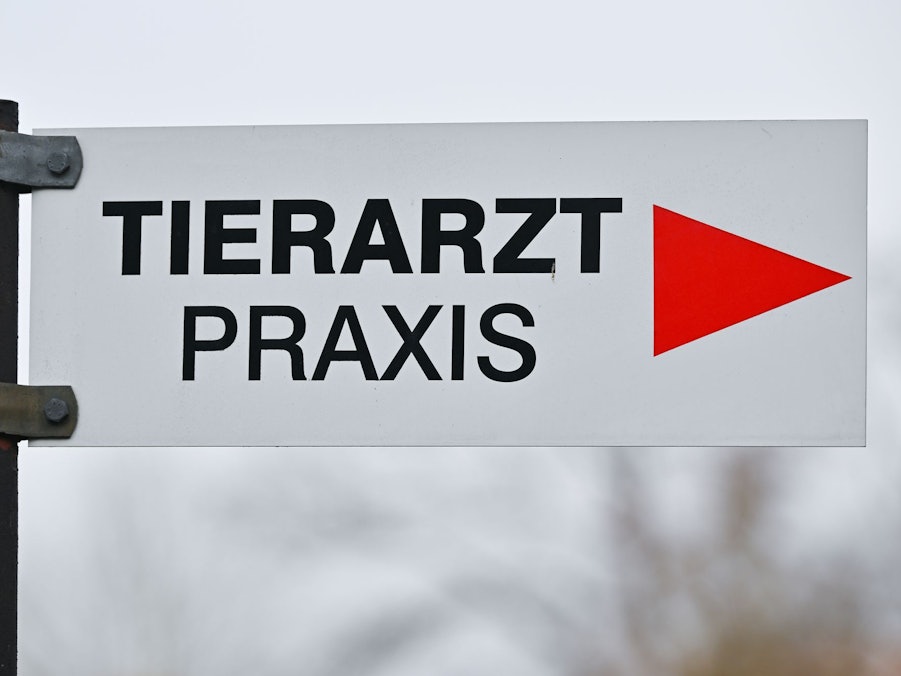 Tierarzt - Praxis