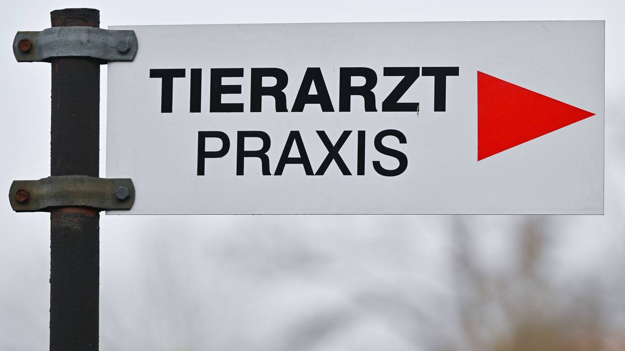 Tierarzt - Praxis