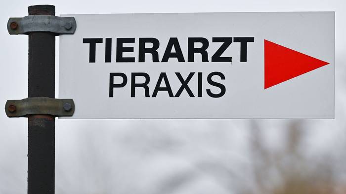 Tierarzt - Praxis