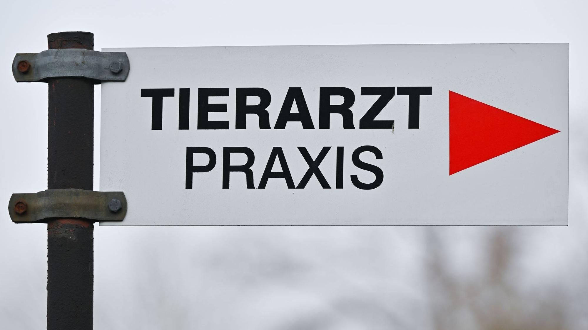 Tierarzt - Praxis