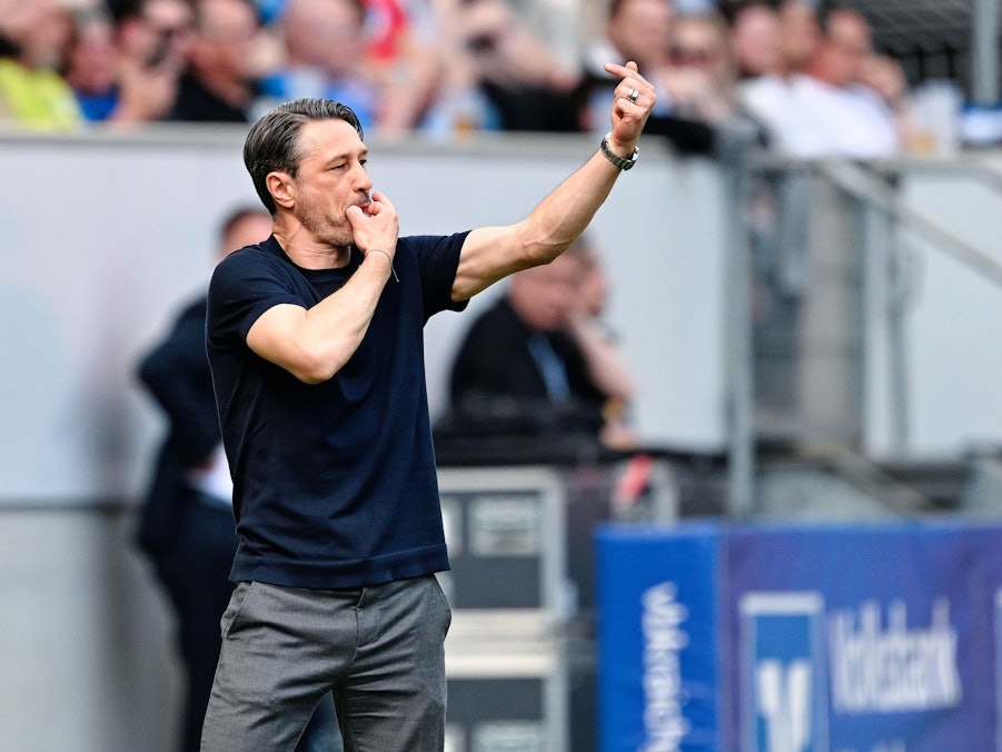 TSG 1899 Hoffenheim - Borussia Dortmund