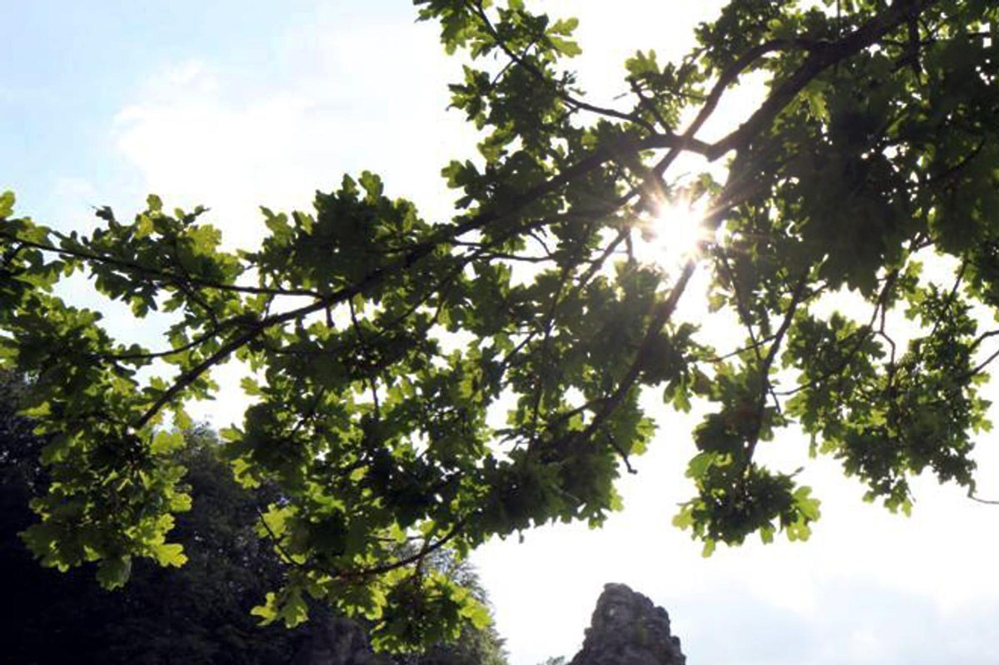 Felsengruppe Externsteine