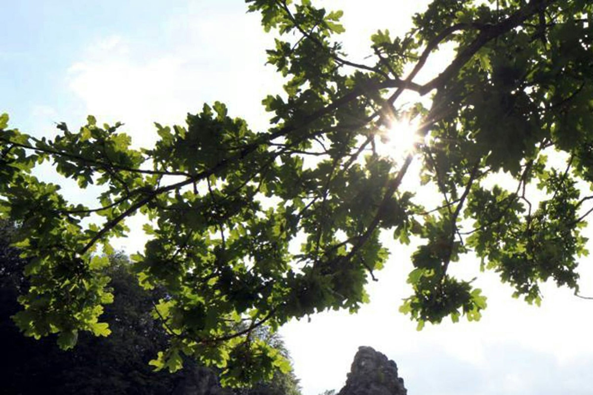 Felsengruppe Externsteine