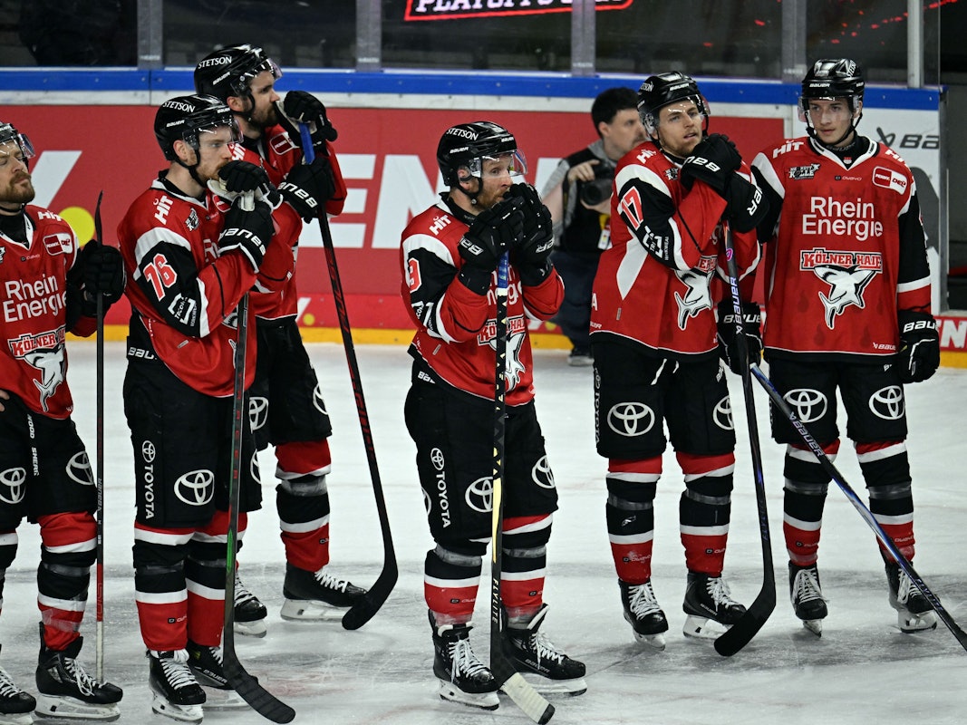 Die Haie-Profis stehen nach dem Playoff-Aus auf dem Eis.