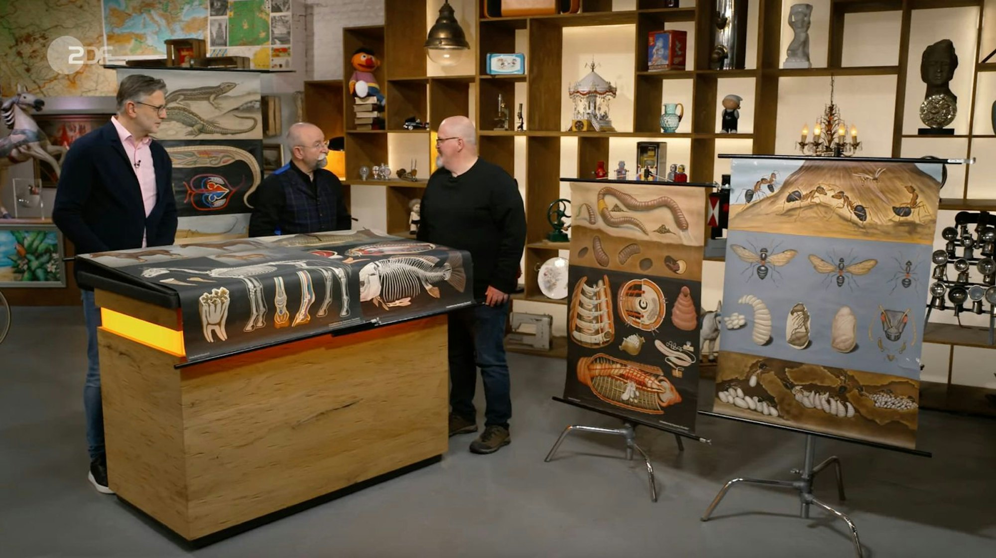 Detlev Kümmel datierte fünf Schulrollkarten ab 1956 bis in die 1970er Jahre.
(Bild: ZDF)