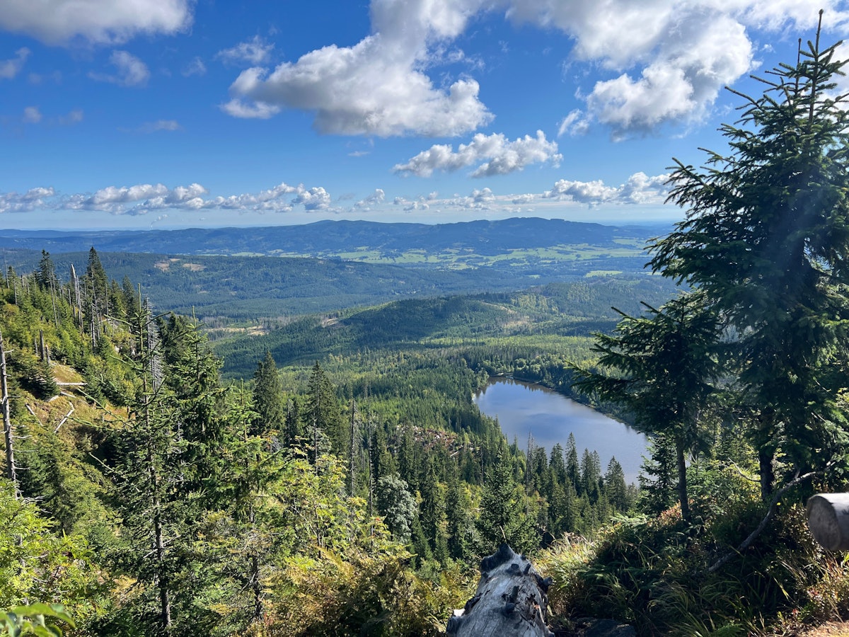 Ausblick zum Plöckensteinersee.