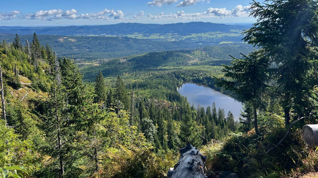 Ausblick zum Plöckensteinersee.