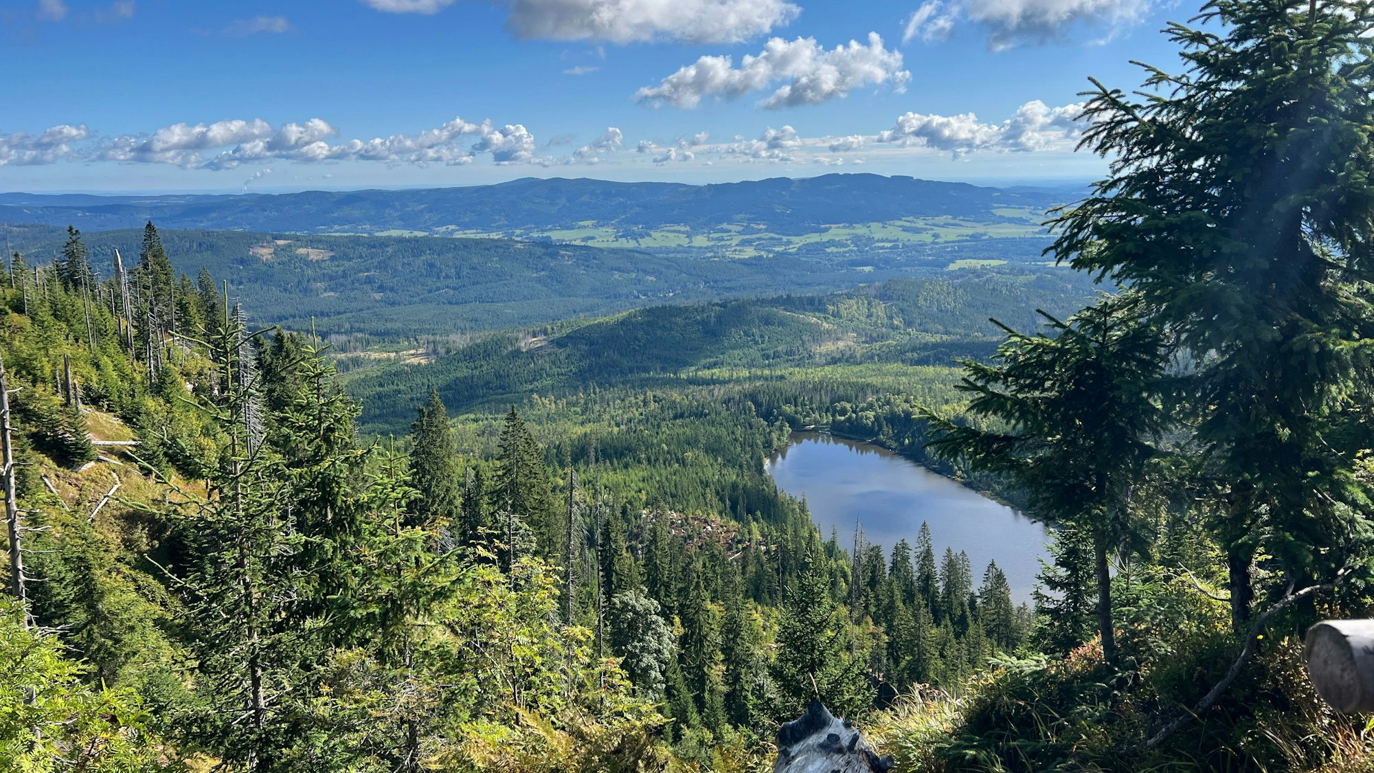 Ausblick zum Plöckensteinersee.