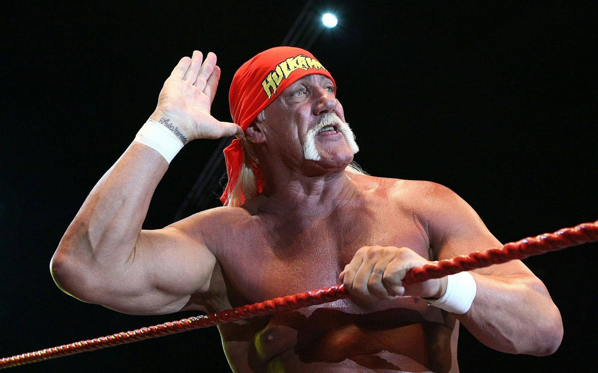 Hulk Hogan (hier bei einem Auftritt im Jahr 2009) gilt als einer der größten Wrestling-Stars aller Zeiten. (Bild: Paul Kane/Getty Images)