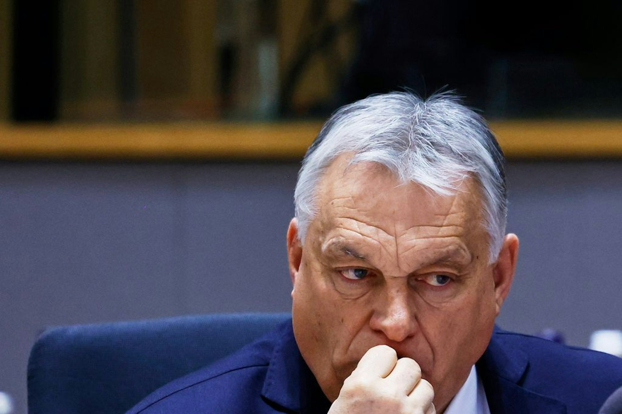 Viktor Orban und Robert Fico