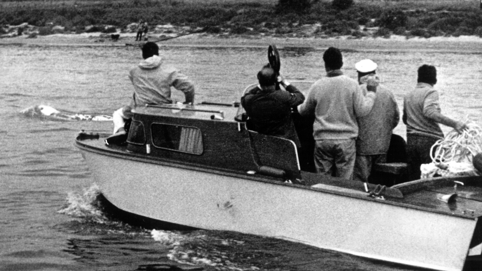 Moby ist eine Sensation: Hier ist ihm ein Team ganz dicht „auf den Flossen“ (Archivfoto).