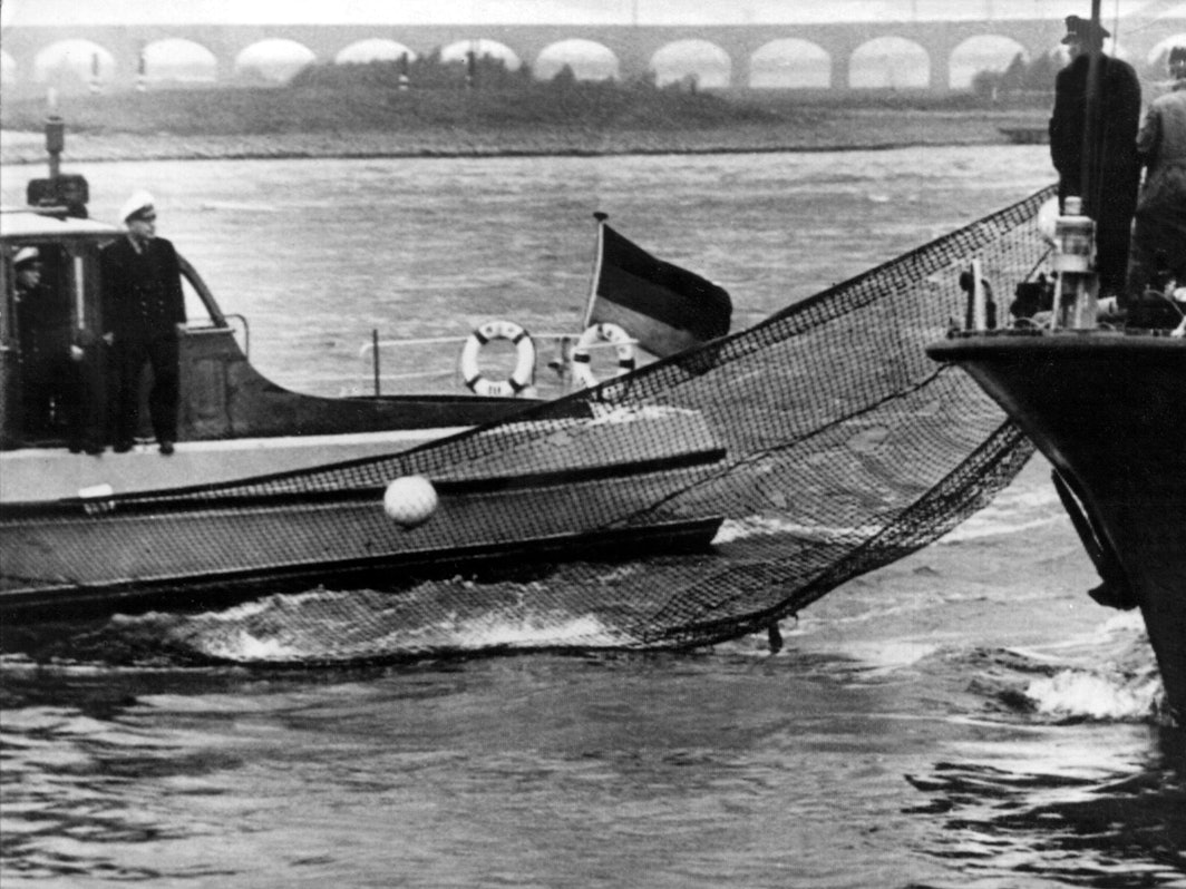 Jagd auf Moby Dick: Der Duisburger Zoodirektor Dr. Wolfgang Gewalt organisierte Tennisnetze, um den Beluga zu fangen. Aber Moby entkam seinen Verfolgern immer wieder (Archivfoto).