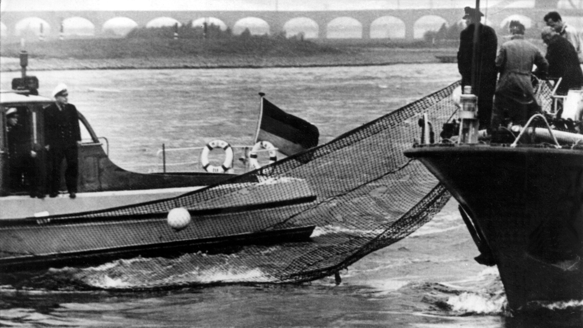 Jagd auf Moby Dick: Der Duisburger Zoodirektor Dr. Wolfgang Gewalt organisierte Tennisnetze, um den Beluga zu fangen. Aber Moby entkam seinen Verfolgern immer wieder (Archivfoto).