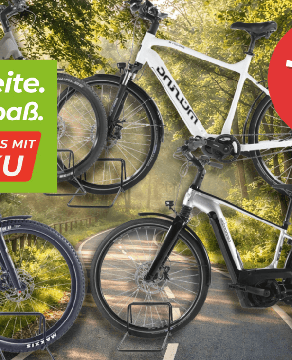 4 verschiedene E-Bikes mit XL-Akku vor einem Fahrradweg.