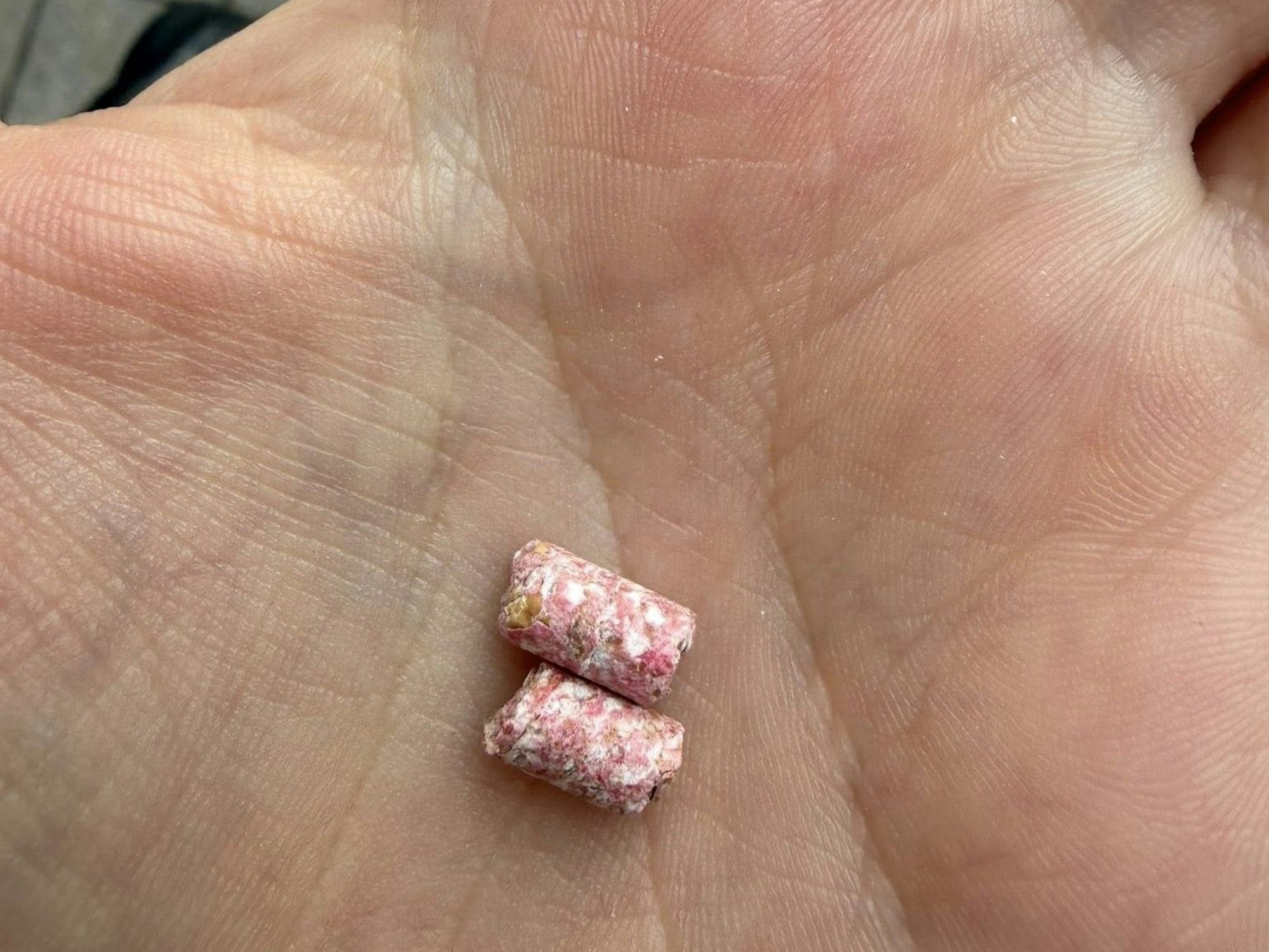 Diese Giftköder hat die Mutter gefunden, nachdem ihr Kind mutmaßlich vergiftet wurde.