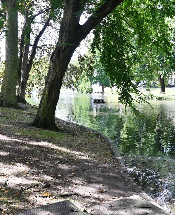 08.08.2024 Köln. Der Theodor-Heuss-Weiher. Foto: Alexander Schwaiger