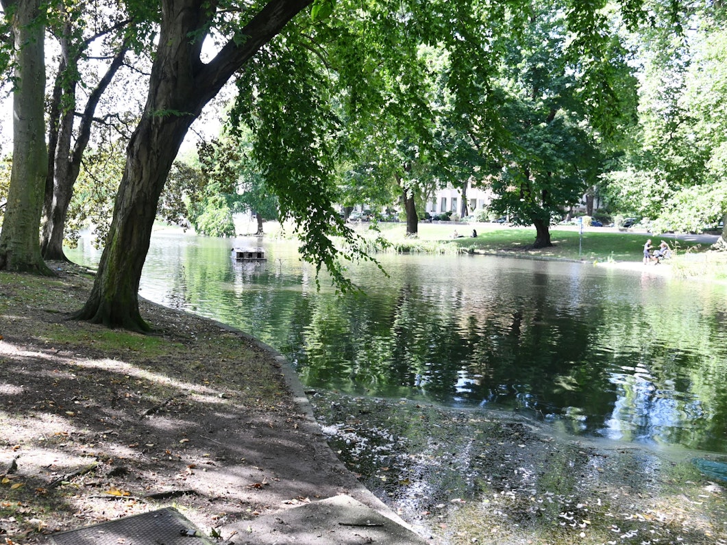 08.08.2024 Köln. Der Theodor-Heuss-Weiher. Foto: Alexander Schwaiger