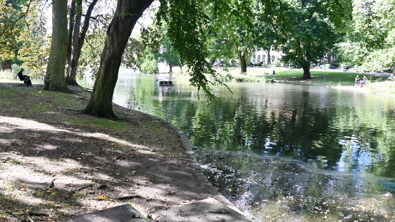 08.08.2024 Köln. Der Theodor-Heuss-Weiher. Foto: Alexander Schwaiger