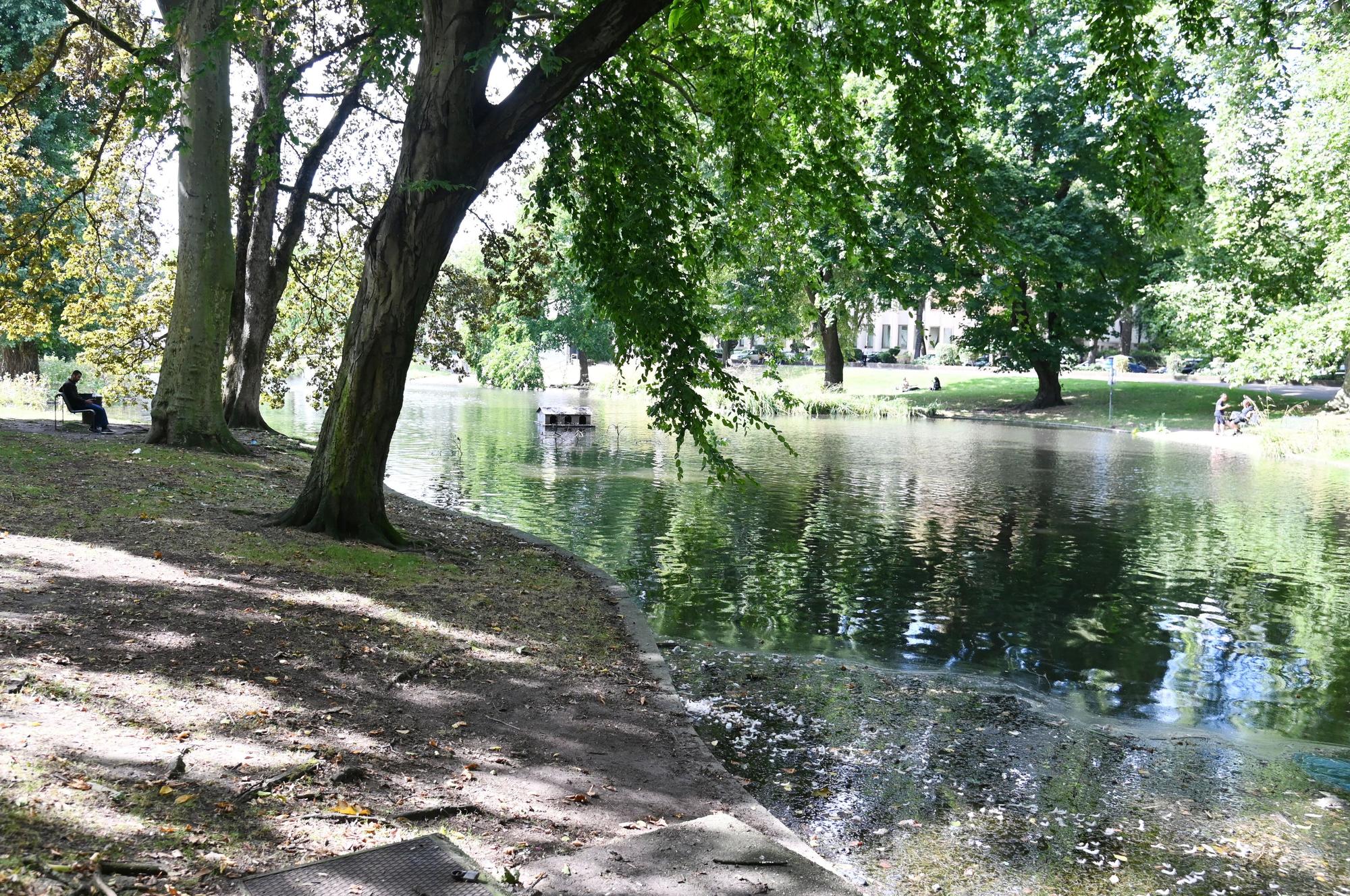 08.08.2024 Köln. Der Theodor-Heuss-Weiher. Foto: Alexander Schwaiger