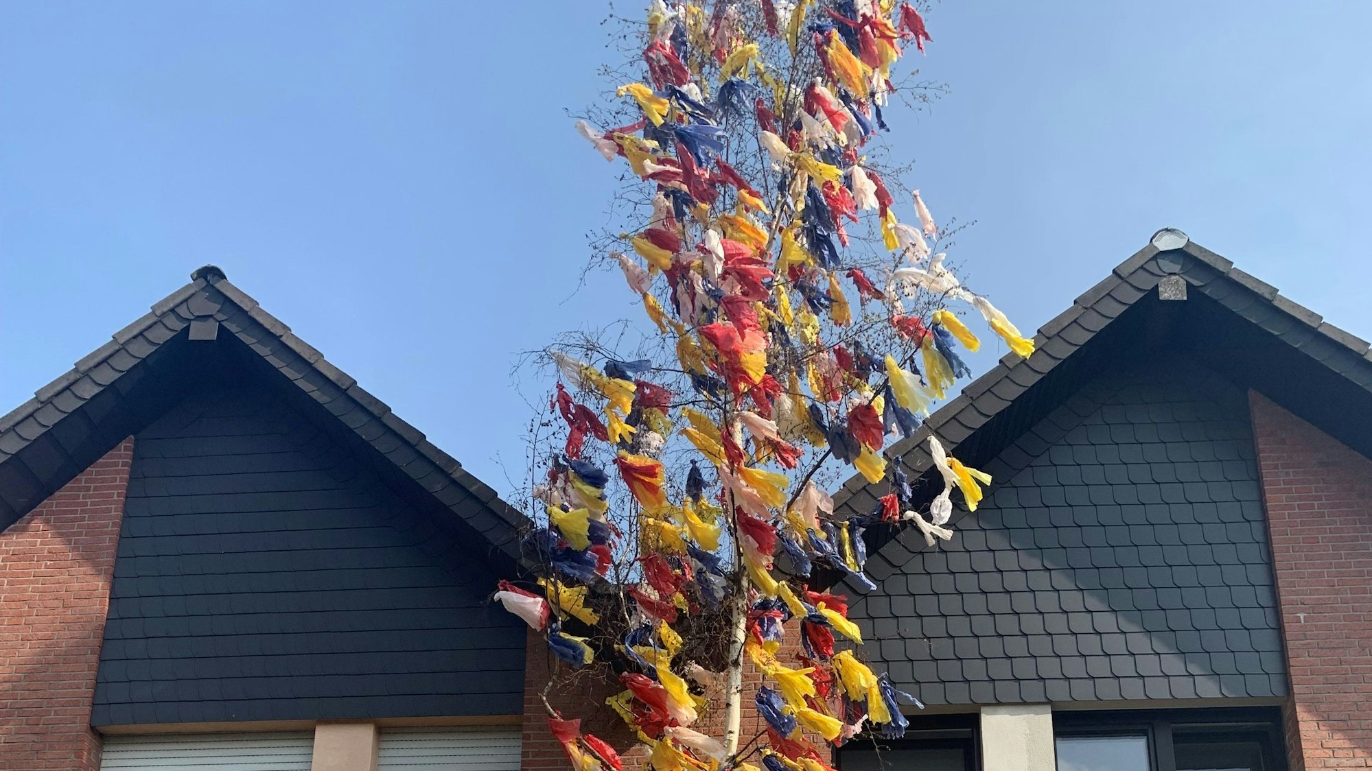 Ein Maibaum mit bunten Bändern steht vor einem Haus