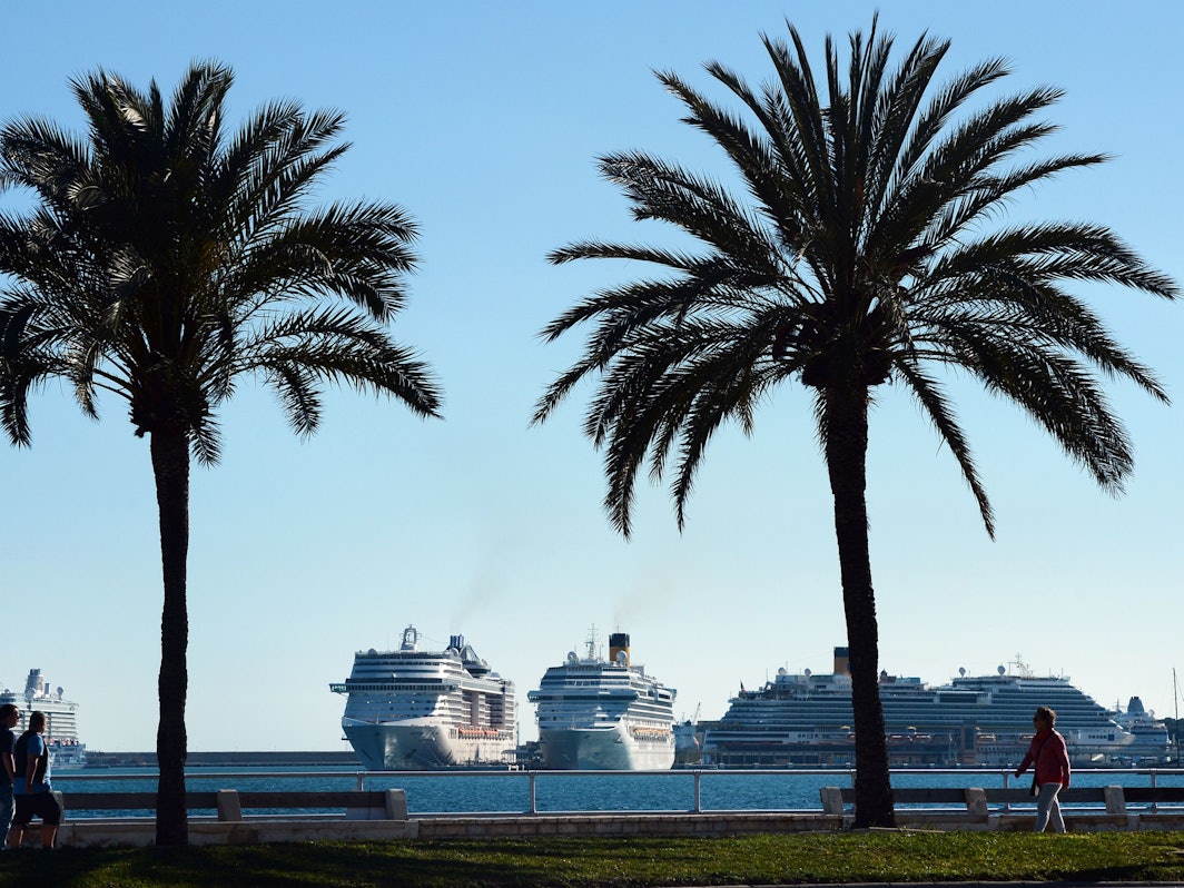 Kreuzfahrtschiffe liegen vor Anker. Im Vordergrund stehen zwei Palmen.