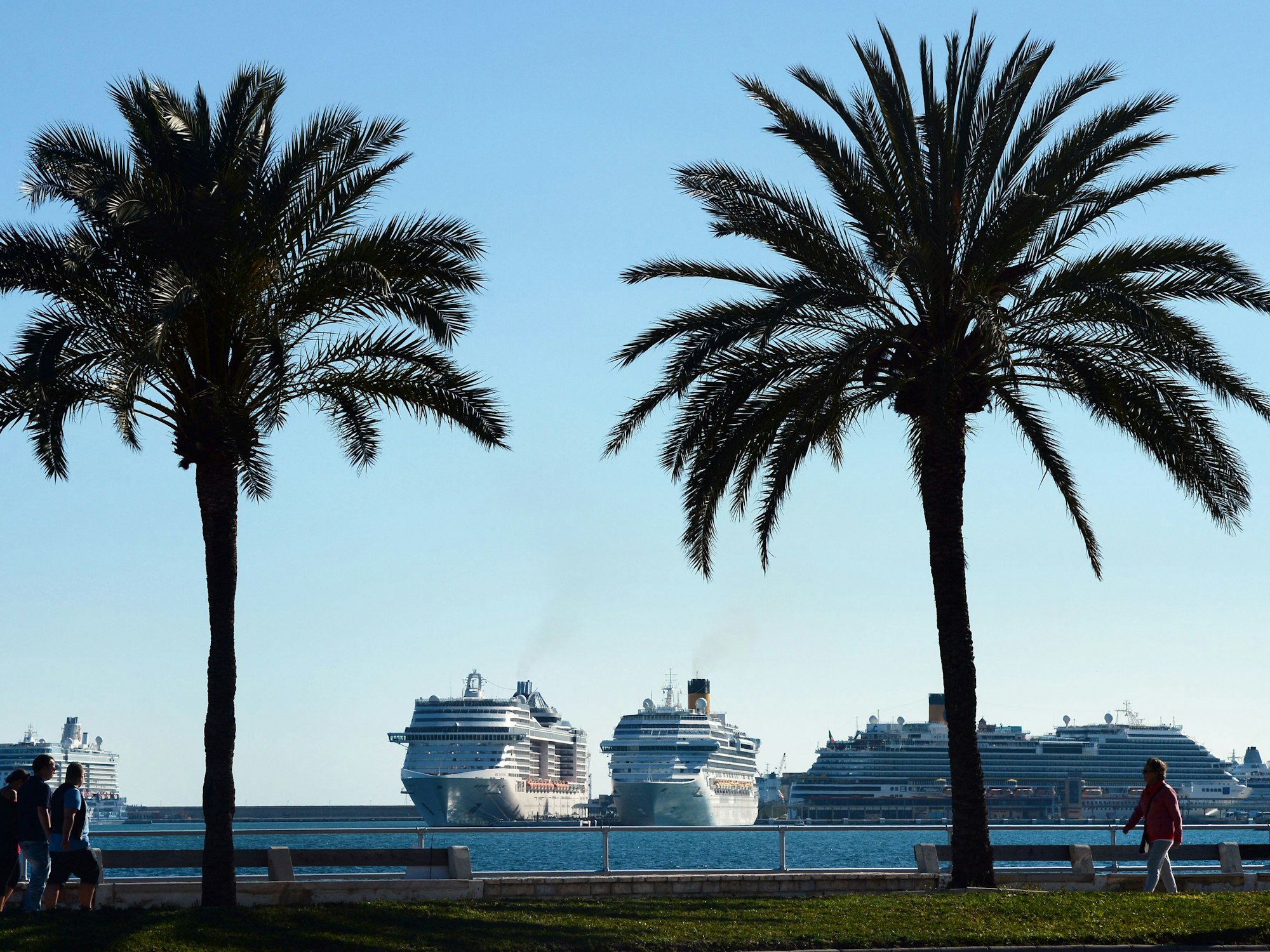 Kreuzfahrtschiffe liegen vor Anker. Im Vordergrund stehen zwei Palmen.